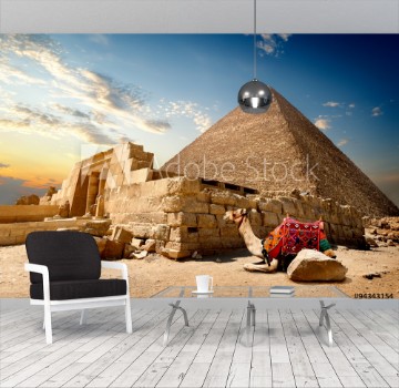 Picture of Camel near ruins